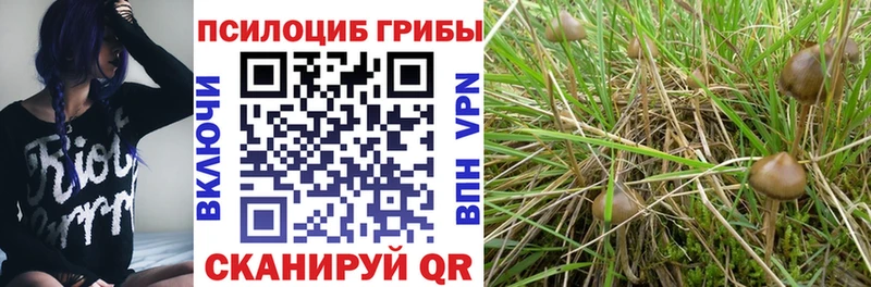 продажа наркотиков  Кемь  Галлюциногенные грибы мухоморы 